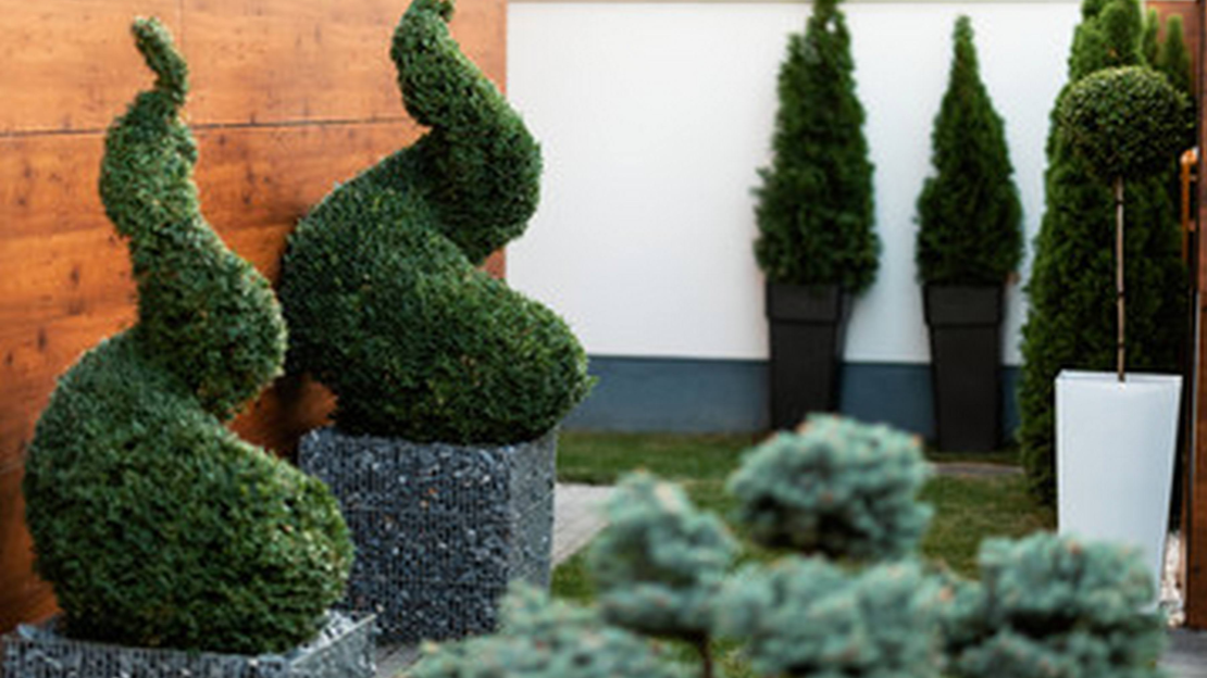 kertepites-alapjai-kerttervezes